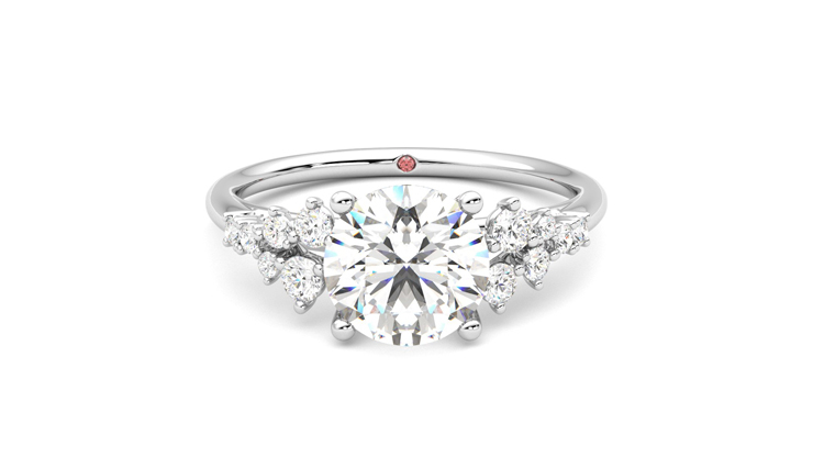 Taylor & Hart Marula Round Engagement Ring 360 detail 01