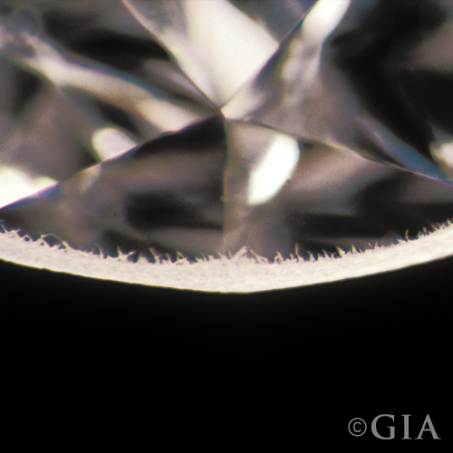 Bearded diamond Girdle