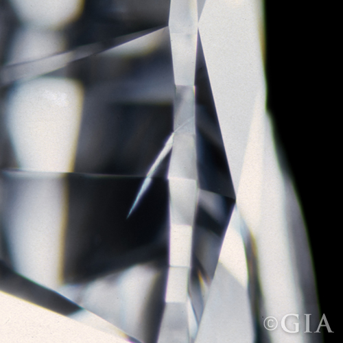 Feather diamond inclusion