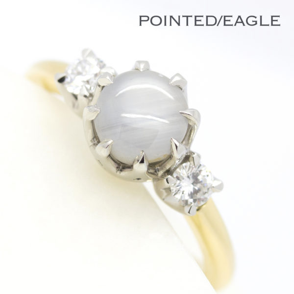 pointed eagle prongs claws