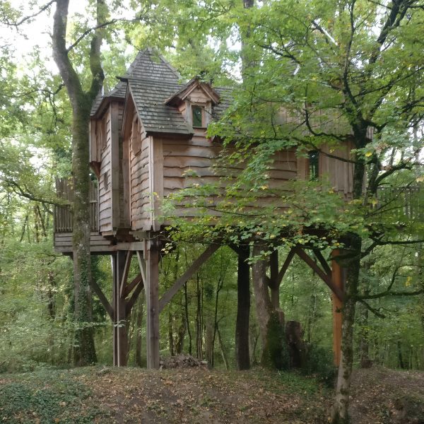 treehouse dordogne proposal